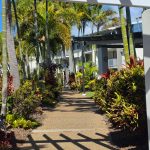 Luxury Meets Nature: Experience Coastal Living at Whale Cove